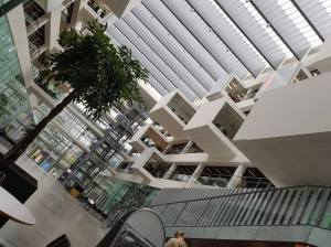 21460343_1571505086234251_438751430_o